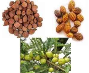 Biochemistry and Phytochemistry Of Triphala, Three Medicinal Fruits, Medicinal Properties, Bioactive Compounds and Therapeutic Potential