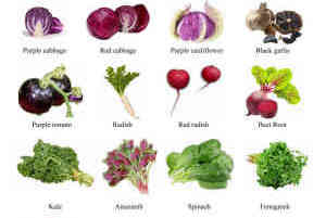 Phenolic and Antioxidant Activity in Asian Vegetables