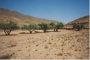 Dry Lands and Desertification