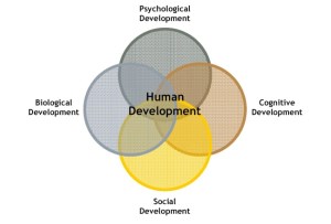 Human Resources and their Development