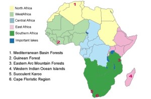 Area Studies - Regional Sustainable Development: Africa