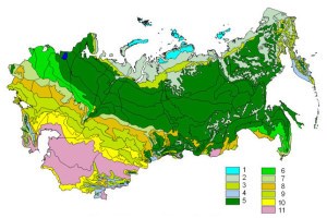Area Studies - Regional Sustainable Development: Russia
