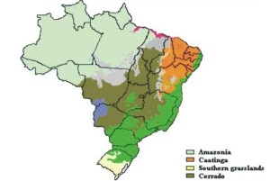 Area Studies - Regional Sustainable Development: Brazil
