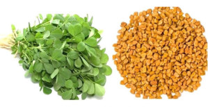 Fenugreek Nutraceutical Properties and Utilization in Various Food Products